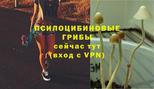 гидропоника Абинск