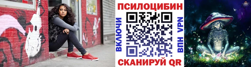 Псилоцибиновые грибы Psilocybine cubensis  Ханты-Мансийск 