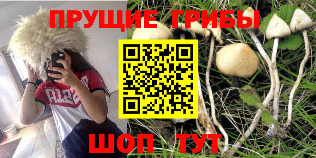 Галлюциногенные грибы Magic Shrooms  Ханты-Мансийск 