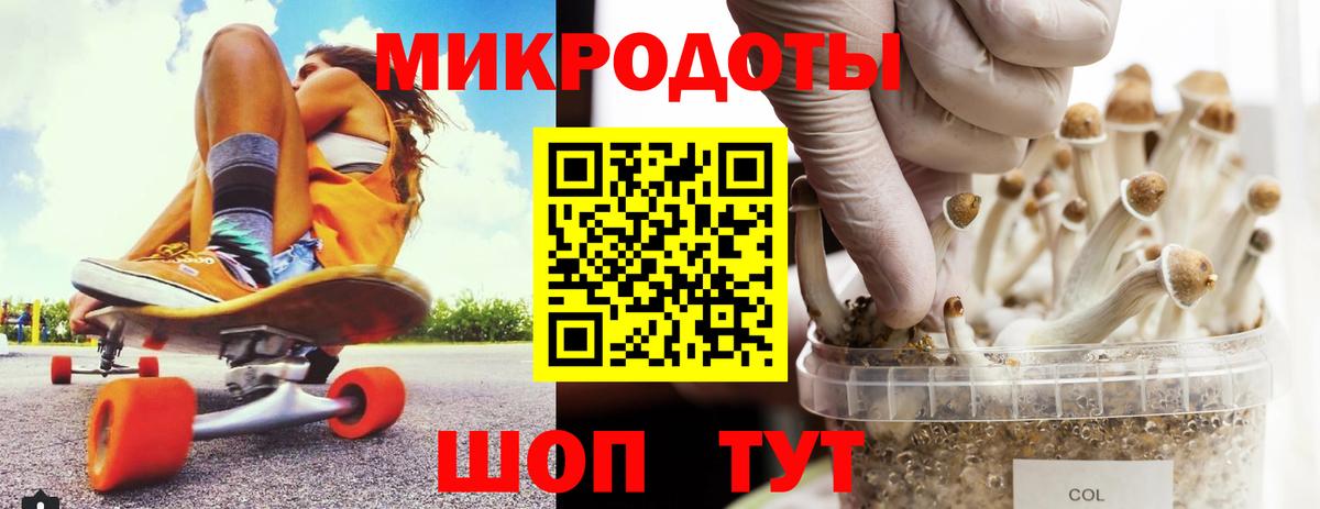 Галлюциногенные грибы прущие грибы Ханты-Мансийск